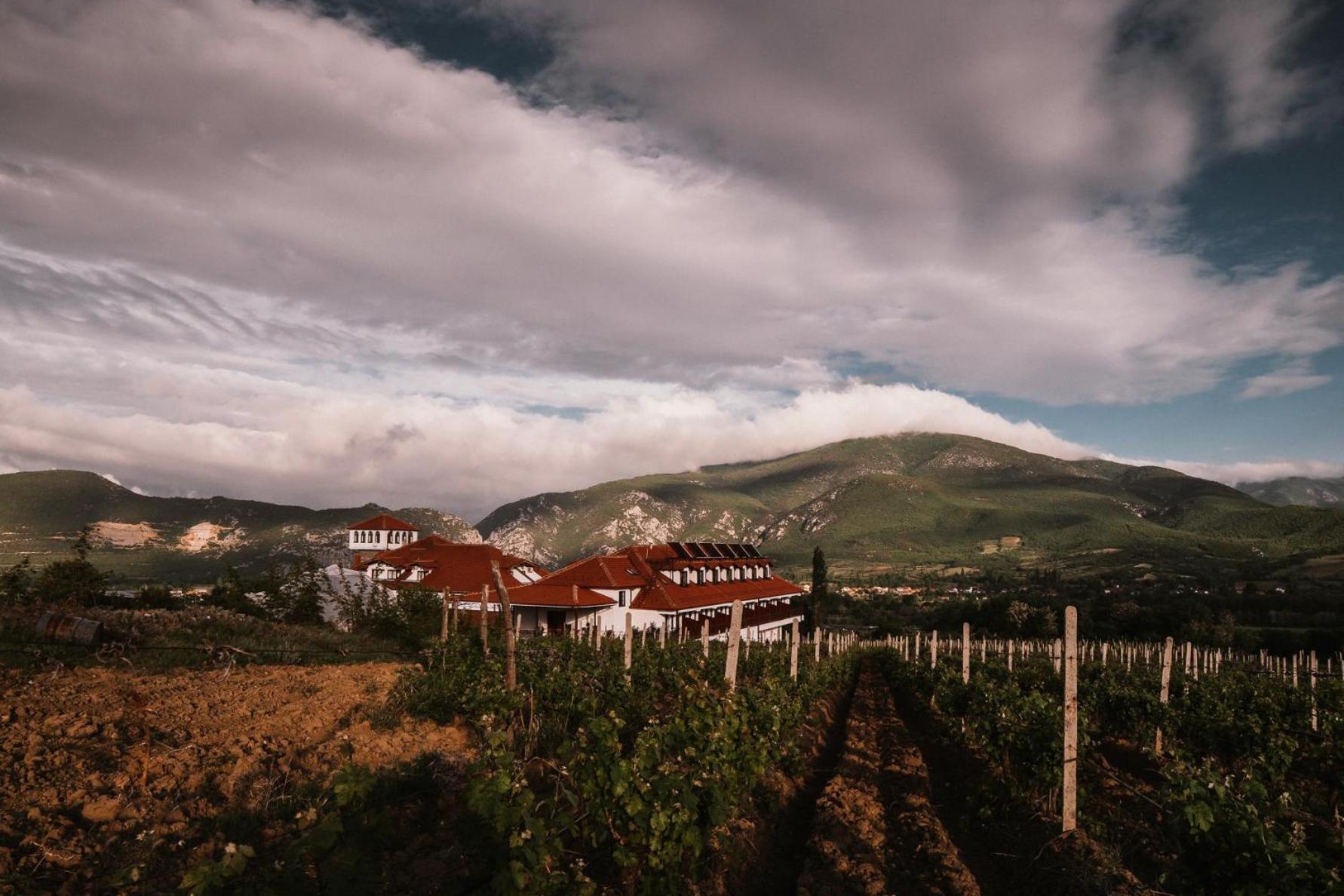 Popova Kula Hotel & Winery Demir Kapija Ngoại thất bức ảnh