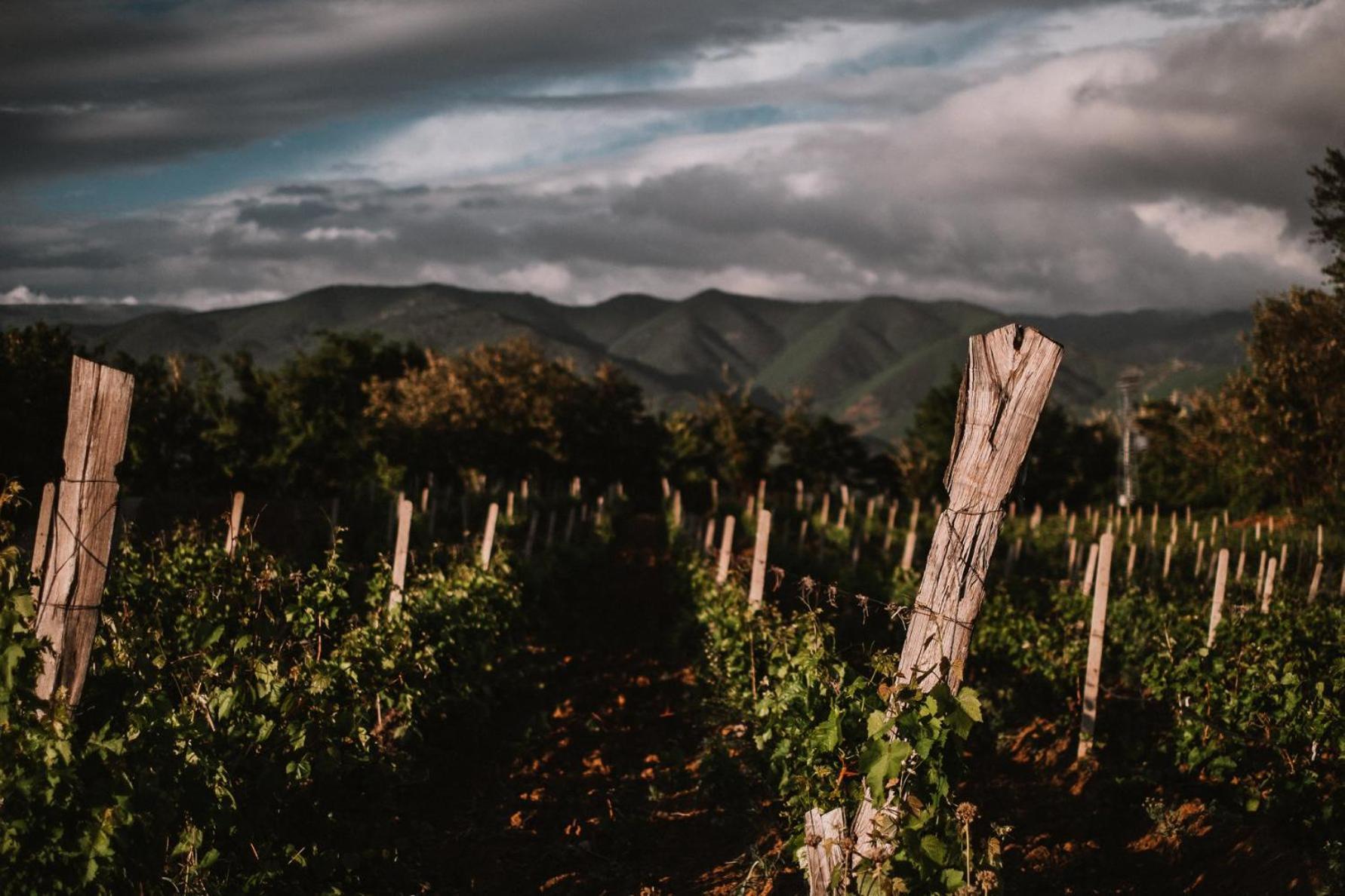 Popova Kula Hotel & Winery Demir Kapija Ngoại thất bức ảnh